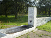 la Selva di S. Giacomo ( Boschetto ) -  la fontana