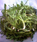 la Cicoria