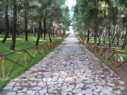 la Selva S. Nicola ( Camposanto vecchio ) - Viale ingresso