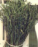prodotti tipici - asparagi