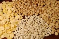 prodotti tipici - legumi : fave, ceci, fagioli, cicerchie