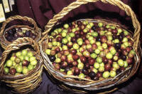 prodotti tipici - olive